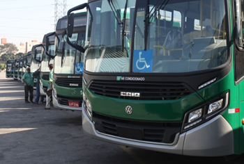 #pracegover varios ônibus verde dentro de garagem
