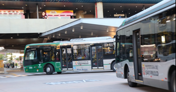#pracegover dois ônibus da área cinco um verde e um prata entrando em terminal da empresa via sudeste
